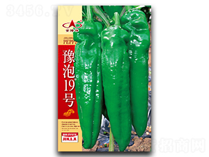 ԥ��19̖-�����N��-��¡��