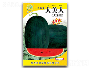 ������-���ϷN��-����N��