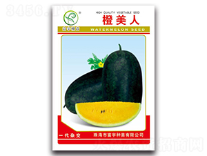 ������-���ϷN��-����N��