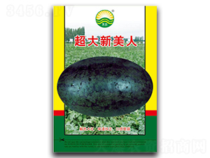 ����������-���ϷN��-����N��