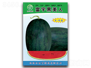 ���������-���ϷN��-����N��