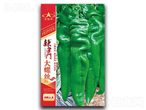 �����T���ݽz-�����N��-��¡��