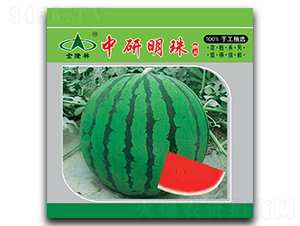 ��������-���ϷN��-��¡��