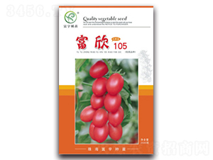 ����105-���ѷN��-����N��