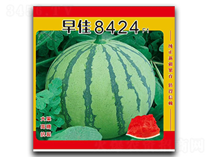 ���8424-���ϷN��-��¡��