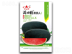 �M���Ǻ�����-���ϷN��-��¡��