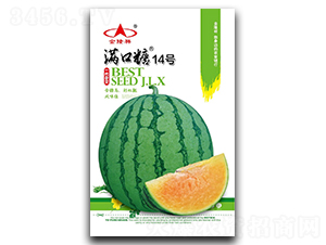 �M����14̖(h��o)-���ϷN��-��¡��