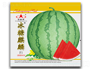 ��������-���ϷN��-��¡��