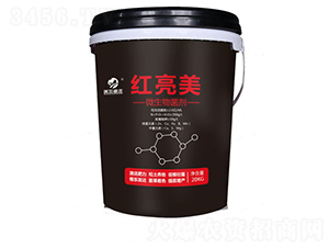 �t����΢�������-���Ӻ��f