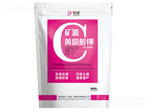 �VԴ�S�����-���Ӻ��f