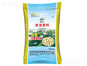 ��ɏ���Ó����22-7-21-�F������