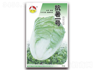 ����һ̖(h��o)-�ײ˷N��-�|���N�I(y��)