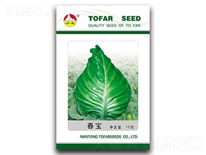 ����-���{�N��-�|���N�I(y��)