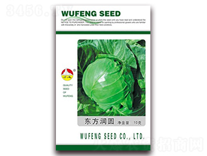 �|����(r��n)�A-���{(l��n)�N��-�|���N�I(y��)