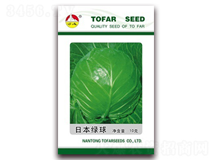 �ձ��G��-���{�N��-�|���N�I(y��)