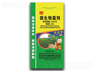 40kg΢�������-������-�S�����r(n��ng)