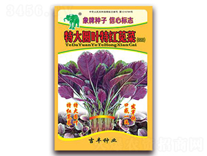 �ش�A�~�ؼt�{�ˣ�668��-�{�˷N��-���S�N�I(y��)