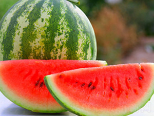 WA08-���ϷN��-�G�x�N�I(y��)