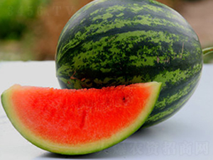 WA05-���ϷN��-�G�x�N�I(y��)