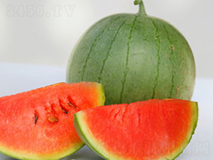 WA04-���ϷN��-�G�x�N�I(y��)