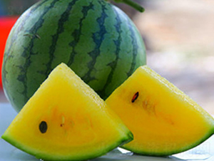 WA01-���ϷN��-�G�x�N�I(y��)