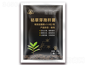 �ݲ�ѿ�ߗU��-��p�p-�������