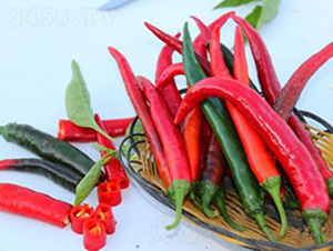 PA17-�����N��-�G�x�N�I(y��)