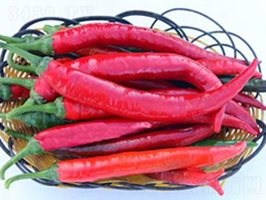 PA16-�����N��-�G�x�N�I(y��)