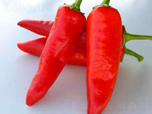 PA12-�����N��-�G�x�N�I(y��)