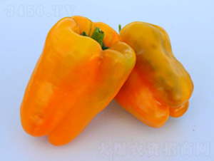 PA06-�����N��-�G�x�N�I(y��)