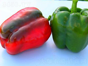 PA03-�����N��-�G�x�N�I(y��)