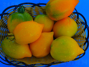 TA06-���ѷN��-�G�x�N�I(y��)