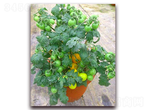 TA04-���ѷN��-�G�x�N�I(y��)