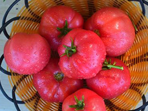 TA03-���ѷN��-�G�x�N�I(y��)