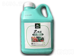 ������-����