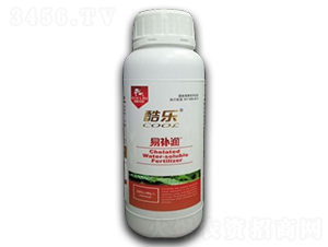 �ᘷ���a��-����