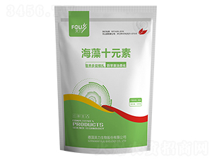 ����ʮԪ��-ܽ������