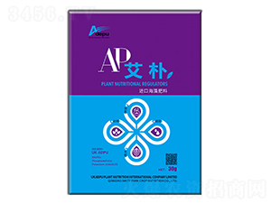 �����M�ں����-�۵�