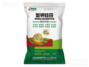 з⛹���-���յ�