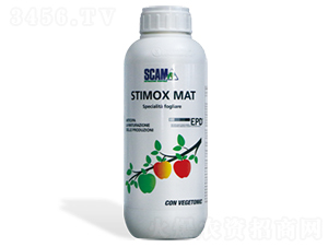 ����ɫ-��(y��u)˼��