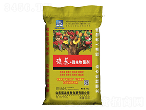 ̼����΢�������-��������