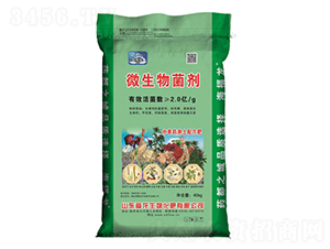 ​΢����������G��-��������