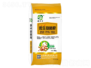 ΢�������-���ʘI(y��)