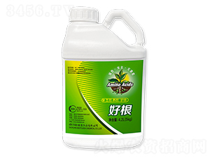 �ø�-�Õr(sh��)��