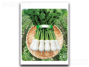 �r(n��ng)�Ґ�(��i)-�}���N��-���}�r(n��ng)�I(y��)