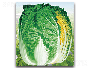 �ļ�ɽ��-�ײ˷N��-���}�r(n��ng)�I(y��)