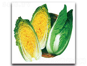 ��G������-�ײ˷N��-���}�r(n��ng)�I(y��)