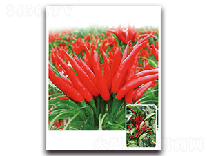 ���3̖-�����N��-���}�r(n��ng)�I(y��)