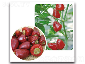 ������-�����N��-���}�r(n��ng)�I(y��)