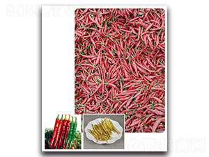 ��G���-�����N��-���}�r(n��ng)�I(y��)